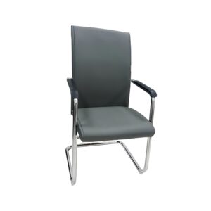 Evergreen Sleek Grey Guest Chair