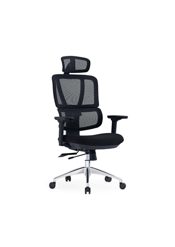 Multi-Functional Executive Mesh Office Chair
