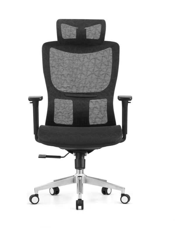 Premium Ergonomic Mesh Office Chair with Seat Slider