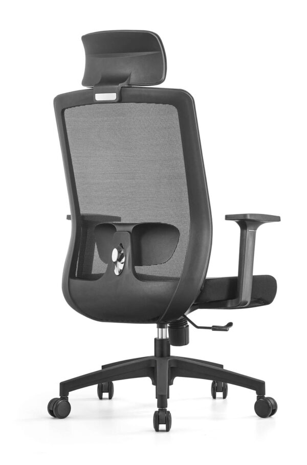 Premium Ergonomic Mesh Office Chair with Back Support