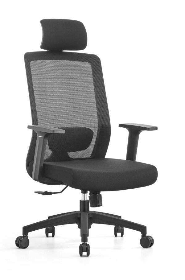 Premium Ergonomic Mesh Office Chair with Back Support