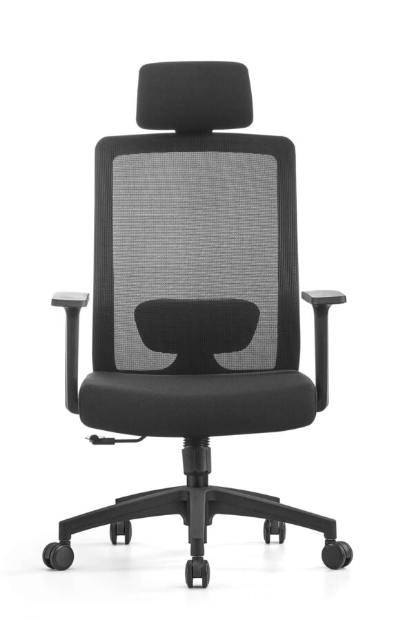 Premium Ergonomic Mesh Office Chair with Back Support