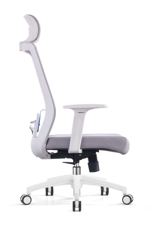 Ergonomic Office Chair with Adjustable Armrest and Headrest