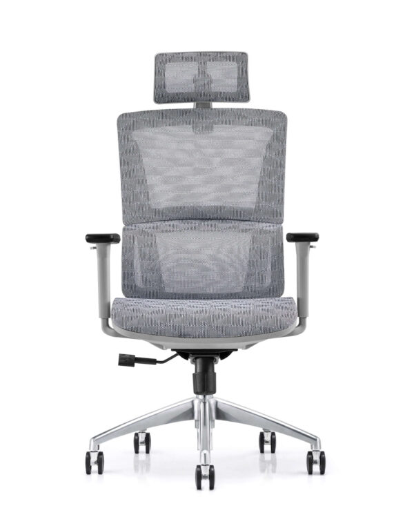 Ergonomic Luxury High-Back Office Chair