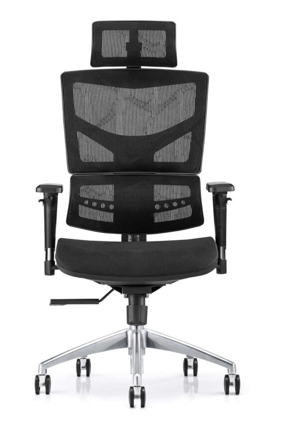 Elite Breeze Luxury Ergonomic Office Chair
