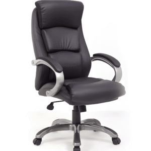 Premium TaskPro High Back Chair