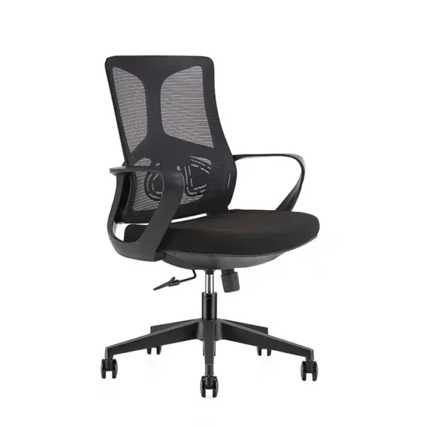 Ergonomic Computer Desk Chair with Lumbar Support