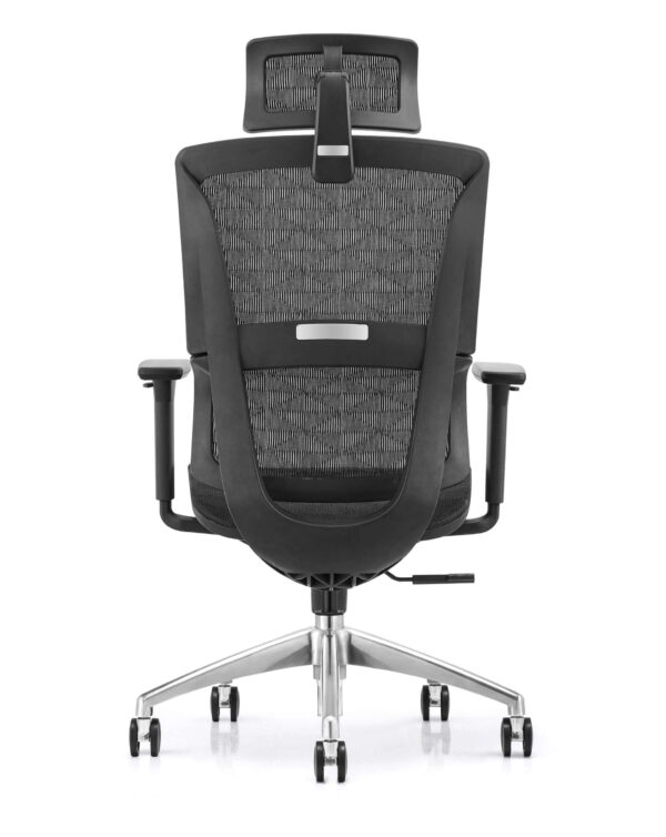 Ergonomic Luxury High-Back Office Chair ? Black