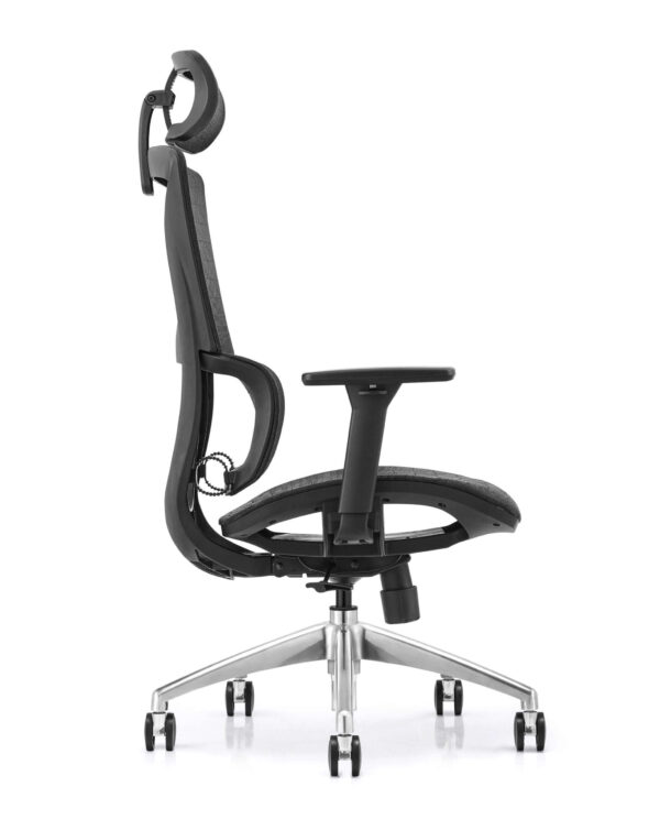 Ergonomic Luxury High-Back Office Chair ? Black
