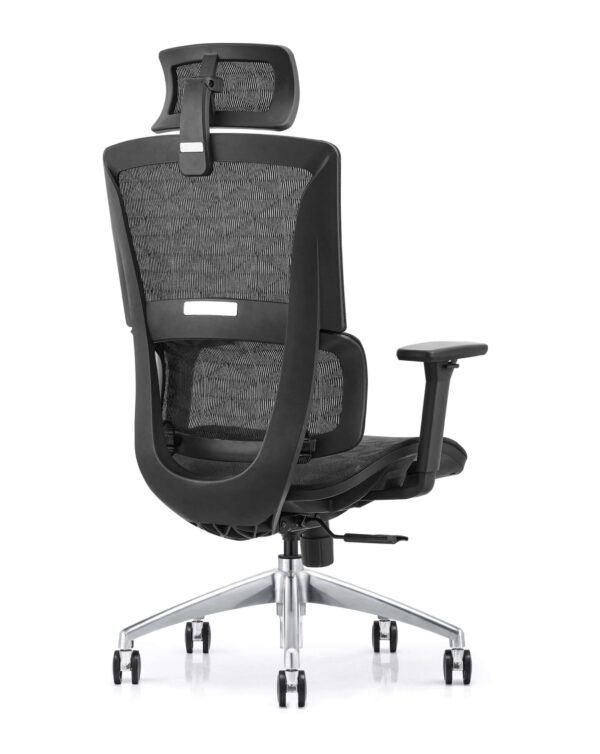 Ergonomic Luxury High-Back Office Chair ? Black