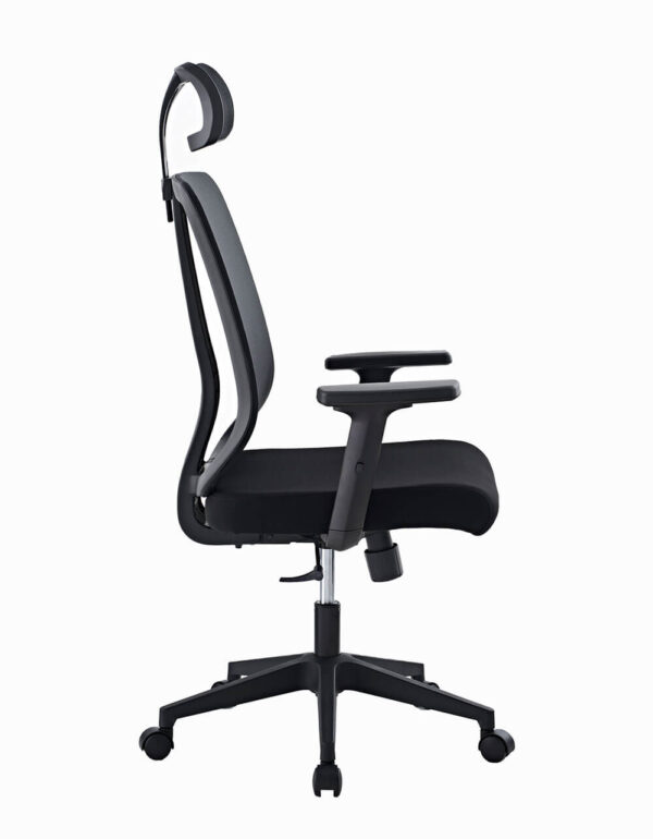 Ergonomic Mesh High-Back Office Chair