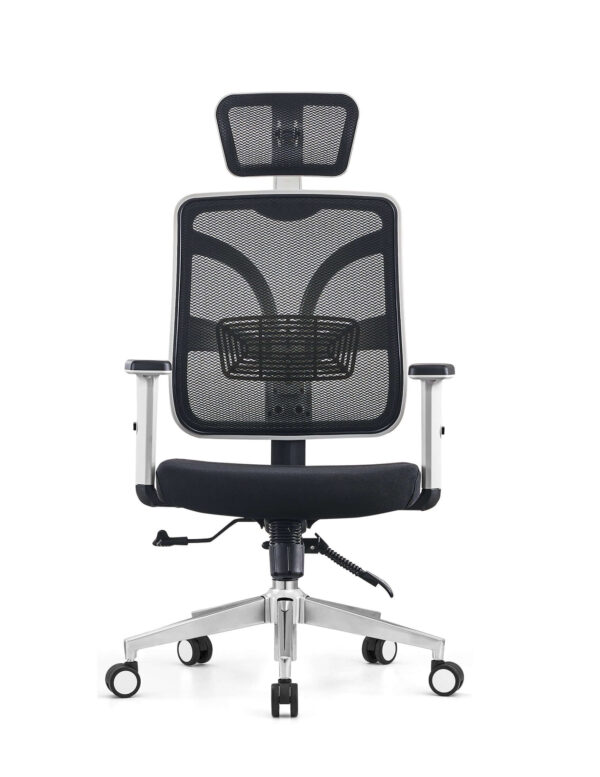 Modern Ergonomic CEO Office Chair with Neck Support
