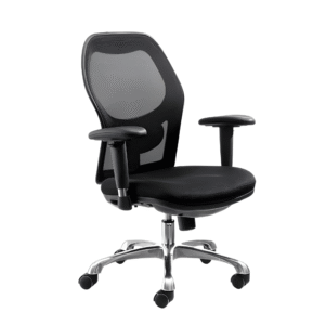 Ergonomic Office Chair with Nylon Frame and Adjustable Lumbar Support