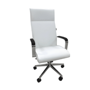 Evergreen High-Back Ergonomic Office Chair White