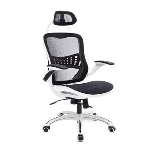Reclining Ergonomic Mesh Executive Swivel Office Chair