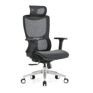 Premium Ergonomic Mesh Office Chair with Seat Slider