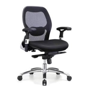 Sunny Ergonomic Medium Back Office Chair