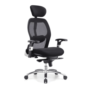 Sunny New Model Ergonomic Office Chair