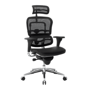 Multi-Function Executive Mesh Office Chair