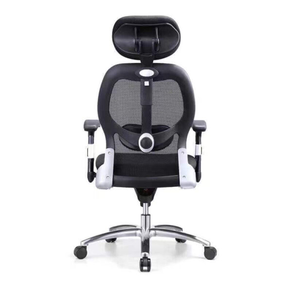 Sunny New Model Ergonomic Office Chair