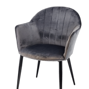 The Cosmos Shell Dining Chair
